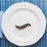 slow food in cucina