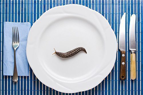slow food in cucina