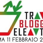 travelbloggerelevator