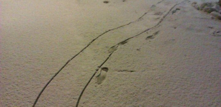neve a Rimini