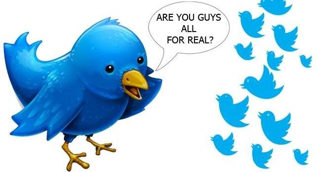fake_twitter_followers