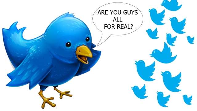 fake_twitter_followers