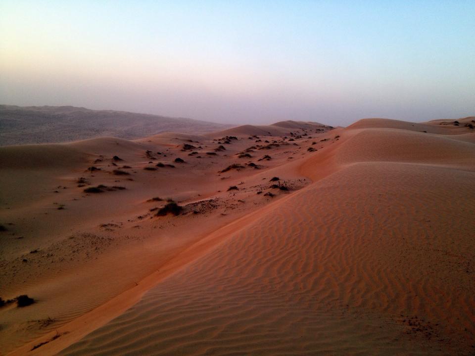 Perché Nel Deserto Ci Sono Pochi Esseri Viventi