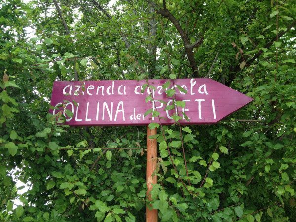 Collina dei Poeti Rimini