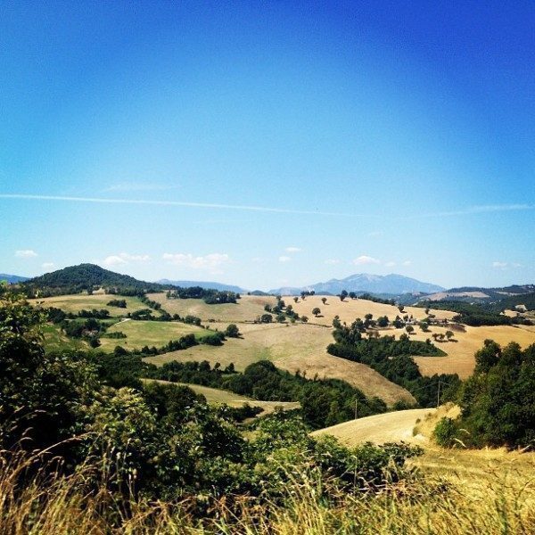 colline-marche