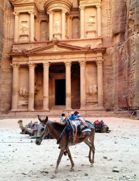 asino a Petra