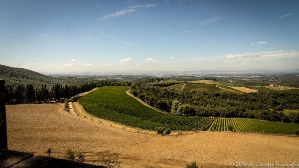 colline del Chianti