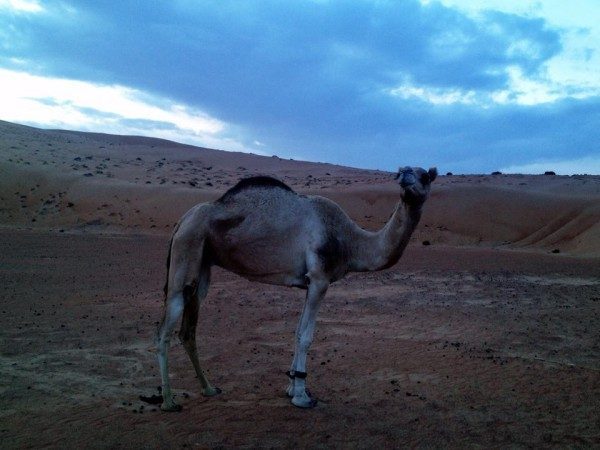 deserto-a-mattina