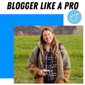 Blogger like a Pro Blogger like a Pro