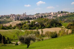 Urbino