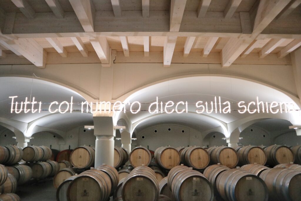 Consorzio Vini di Romagna Cantina