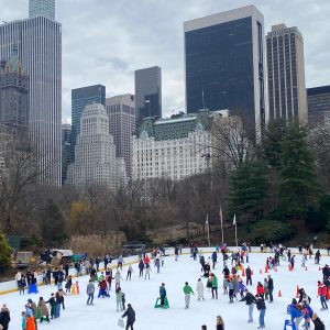 New York Central Park pattinaggio