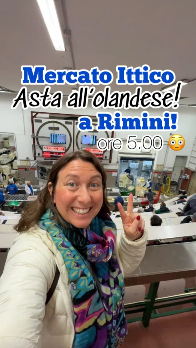 Mercato Ittico a Rimini 🐟
Vieni con me, ore 5.00 di mattina!
.
➡️ Fino agli anni ‘60 l’attività del Mercato Ittico si svolgeva nella Vecchia Pescheria, nel centro storico di Rimini, ma da qualche anno si è spostata in Via Fratelli Leurini 1, zona Darsena.
.
🌙 Qui il pesce arriva ogni notte dal martedì al venerdì alle 3 e l’asta inizia alle 4.30 e dura circa un’ora.
.
🚢 Arrivano a Rimini tantissime barche ogni notte, essendo il mercato del pesce di Rimini, uno dei più importanti dell’Adriatico.
🎣 Qui il  prodotto viene eviscerato per eliminare eventuali batteri, pulito e lavorato. Circa 300 persone lavorano ogni notte affinché l’asta proceda nel migliore dei modi.
.
‼️ Il pesce che arriva non ha ancora un prezzo, gli viene dato tramite l’asta rigorosamente all’olandese, quindi al ribasso, così chiamata perché utilizzata al mercato dei fiori in Olanda. Se l’asta è aperta a tutti, curiosi e non, possono acquistare qui solo titolari di pescherie, ambulanti e grossisti.
.
☺️ E tu, conoscevi questo luogo di Rimini? 
Ci sei mai andato mentre è “in funzione”? 
Scrivimelo nei commenti!
.
#mercatoittico #rimini #pescearimini #rimini #mercatodelpesce #astaolandese #visitrimini #inemiliaromagna #giornatadelmare #mare #pesca #pescare #riminibluelab #riminitoday