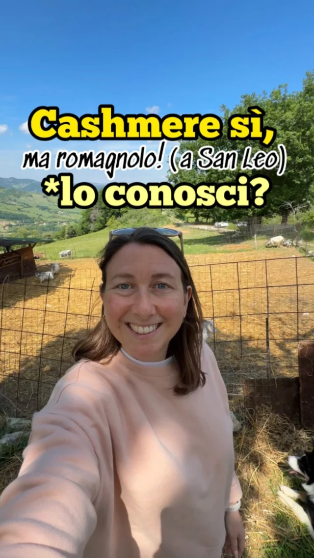 Cashmere Romagnolo a San Leo! 🐐 . ➡️ Un progetto nato nel 2017 da Luigi e Silvia che si trovano precisamente nel borgo di Montemaggio. . ☺️ Parlando con loro ed esplorando il loro mondo mi sono resa conto di quante cose ancora non sapevo, ad esempio che il cashmere viene prodotto dalle capre e non dalle pecore. 🐐 Che ogni capra produce circa 250 grammi di cashmere grezzo, il pelo non si taglia ne si tosa, viene pettinato, e questo prodotto durante la lavorazione si dimezza. . 🤩 Un lavoro notevole che inizia a San Lae, si sposta prima in Inghilterra e poi passando per i Monti Sibillini torna a casa nostra per garantire la massima qualità del prodotto. . ‼️Ho scoperto che anche le capre fanno la transumanza, nei mesi più caldi da San Leo si spostano a Villa Grande per godere al meglio dei pascoli e per il benessere degli animali. . ❤️Insomma, un’eccellenza quella di San Leo Cashmere che ci rende grandi anche nel mondo del filato. . E tu lo sapevi che esiste il cashmere romagnolo? Dimmelo nei commenti! 👇 . Cashmere San Leo Cashmere italiano Escursioni da Rimini #sanleocashmere #sanleo #rimini #escursione #inemiliaromagna #riminiescursioni #gita #cosafarearimini #riminigoodvibes #gitadarimini